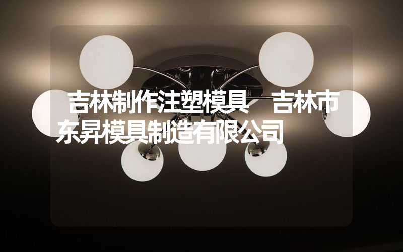 吉林制作注塑模具 吉林市东昇模具制造有限公司